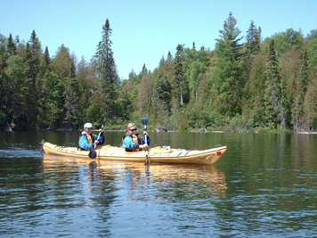 kayak rentals