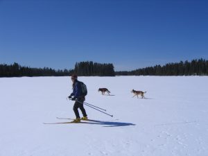 Crust Ski skate ski boundary waters northern minnesota