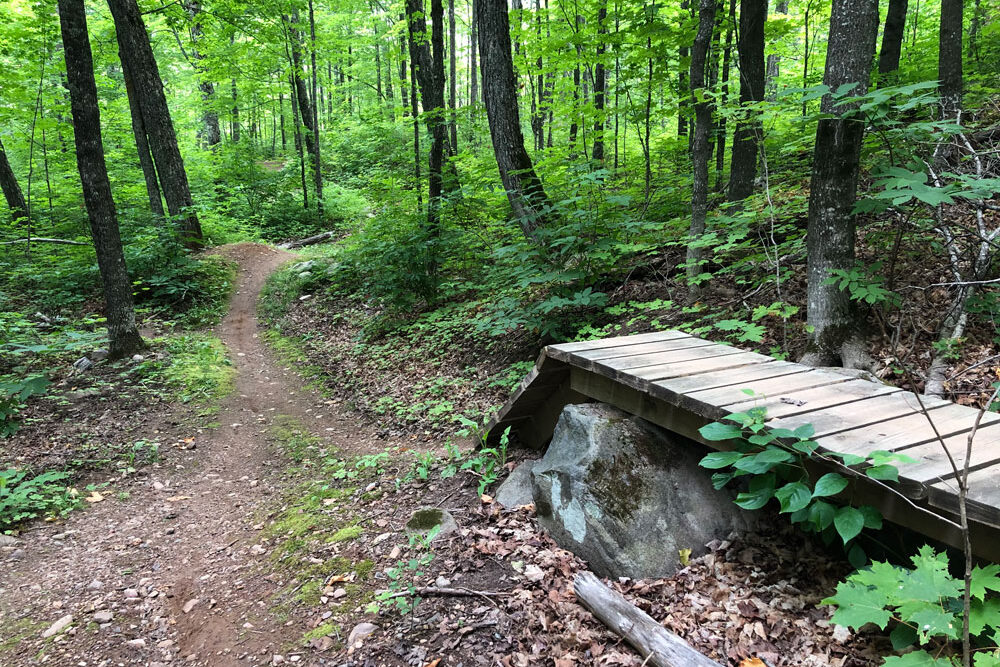 Crosscut Trail - Britton Peak Trail System, Lusten, MN