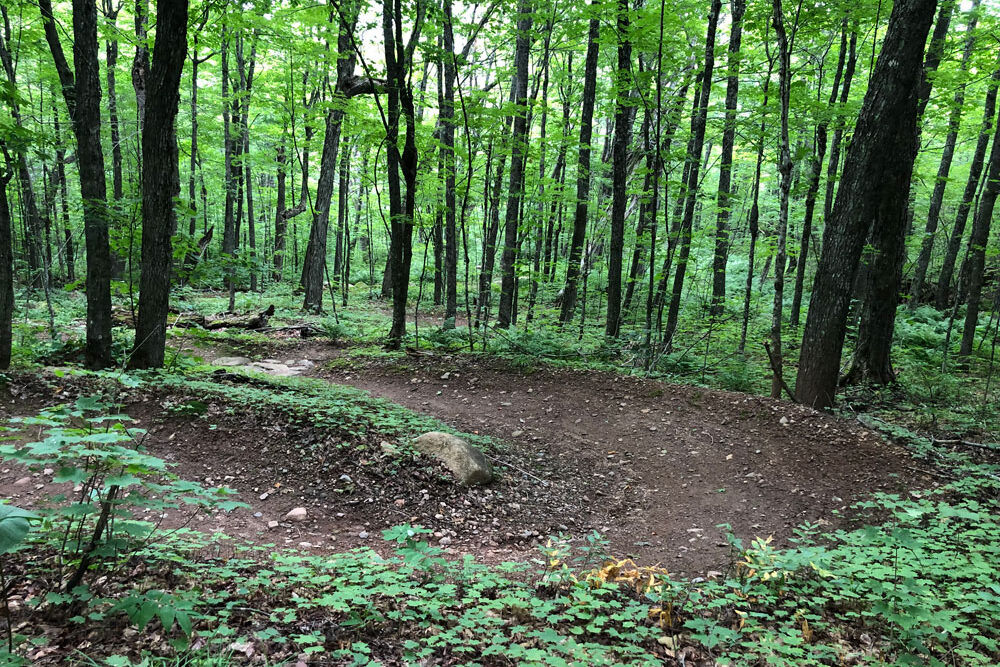 Mountain-Biking-Tofte-Britton-Peak-Trails-Bike-Flume_01