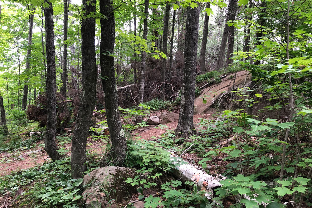 Roll Down on Flume Trail - Britton Peak Trail System, Lusten, MN