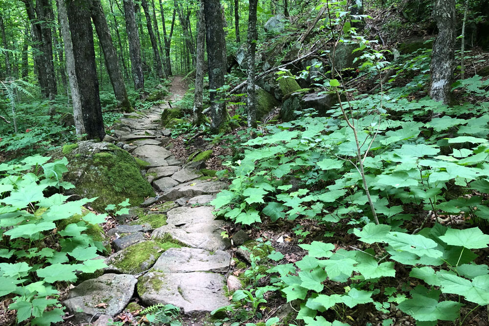 Rock trail on Flume - Britton Peak Trail System, Tofte