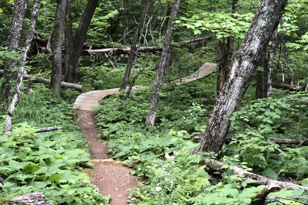 Flume Trail - Britton Peak Trail System, Lusten, MN