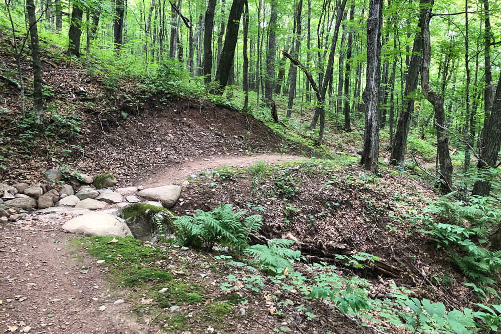 Flume Trail on the hillside of Britton Peak Trail System, Tofte